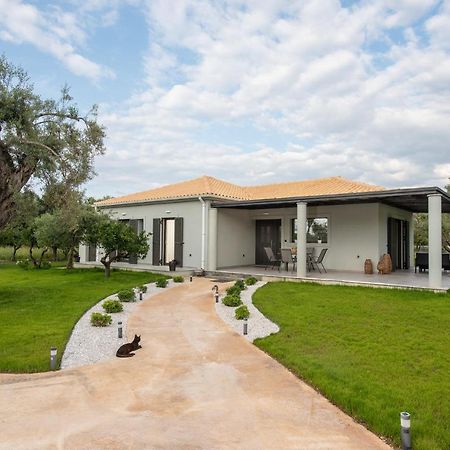 Aerinos Private Villa Lefkáda Dış mekan fotoğraf
