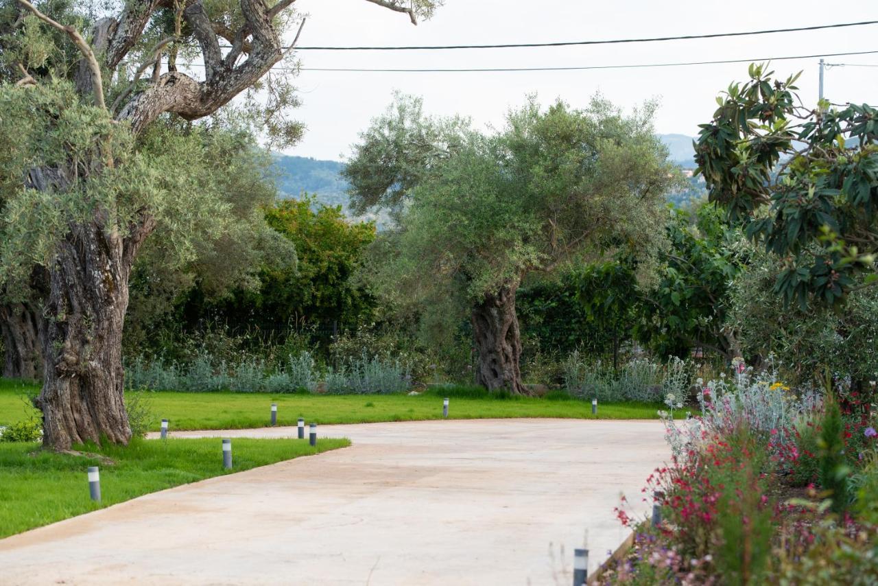 Aerinos Private Villa Lefkáda Dış mekan fotoğraf