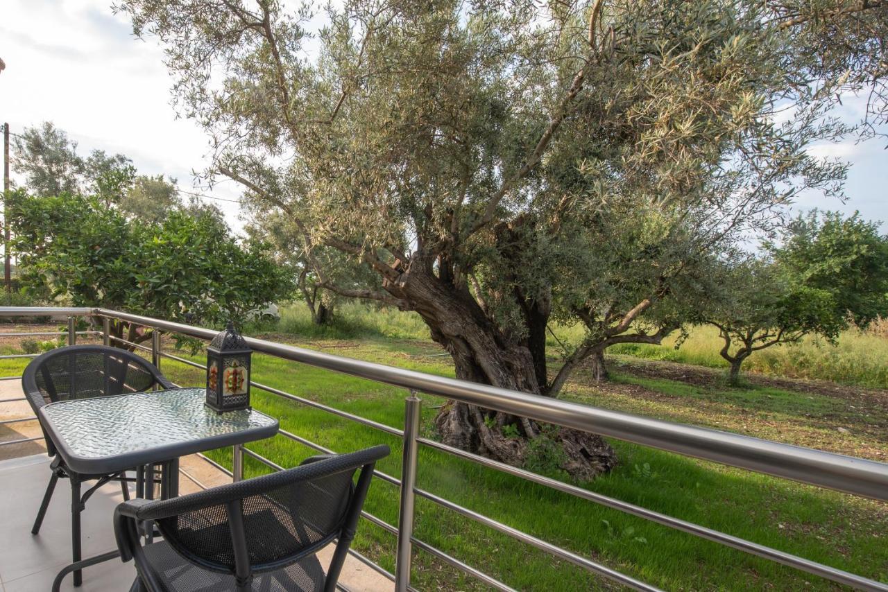 Aerinos Private Villa Lefkáda Dış mekan fotoğraf