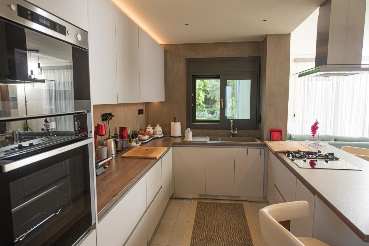 Aerinos Private Villa Lefkáda Dış mekan fotoğraf
